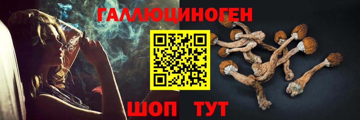 Псилоцибиновые грибы Magic Shrooms Ипатово